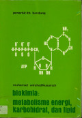 Biokimia : Metabolisme Energi, Karbohidrat, dan Lipid