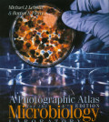 A Photograpic Atlas For the Microbiology Laboratory