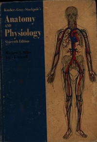 Anatomy and Physiology