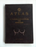 Atlas Utrasonografi Payudara Dan Mamografi