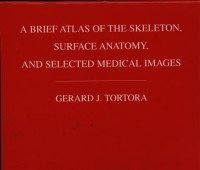 A Brief Atlas of The Skeleton, Surfance Anatomy,And Selected Medical Images