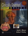 Clinically Oriented Anatomy