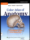 Colors Atlas of Anatomy : A Photograhic Study of the human Body
