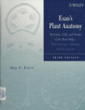 Esau's Plant Anatomy