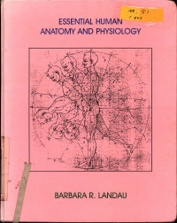 Essential Human Anatomy and Physiology