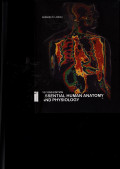 Essential Human Anatomy and Physiology