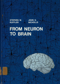 From Neuron to Brain