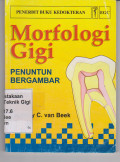 Morfologi Gigi ( penuntun bergambar)