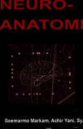 Neuro-Anatomi