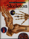 Under The Mikroskop Skeleton Our Body's Framework