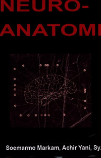 Neuro-Anatomi