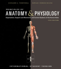 Principles of Anatomy & Physiology : Oganization, Support and Movement, and Control Systems of the Human Body Vol 1