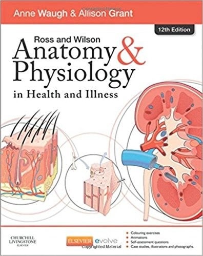 Anatomy and Physiology in Health and Illness