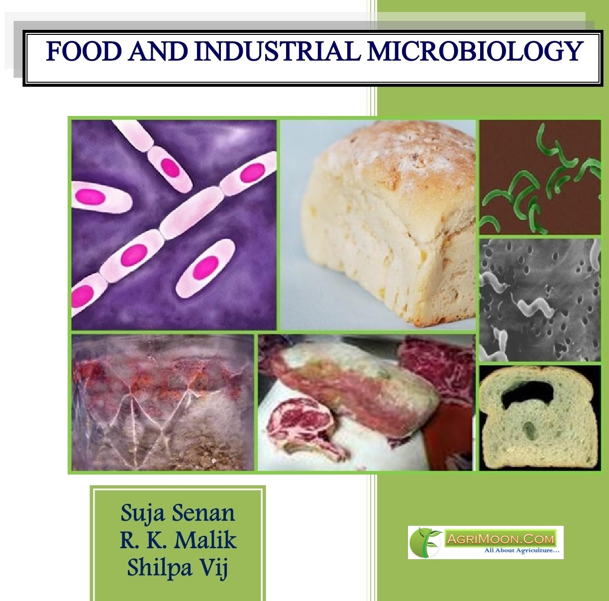 Food  And Industrial Microbiology